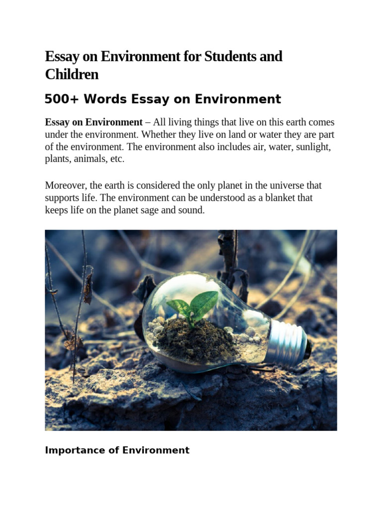 Importance of the Environment Explained | PDF