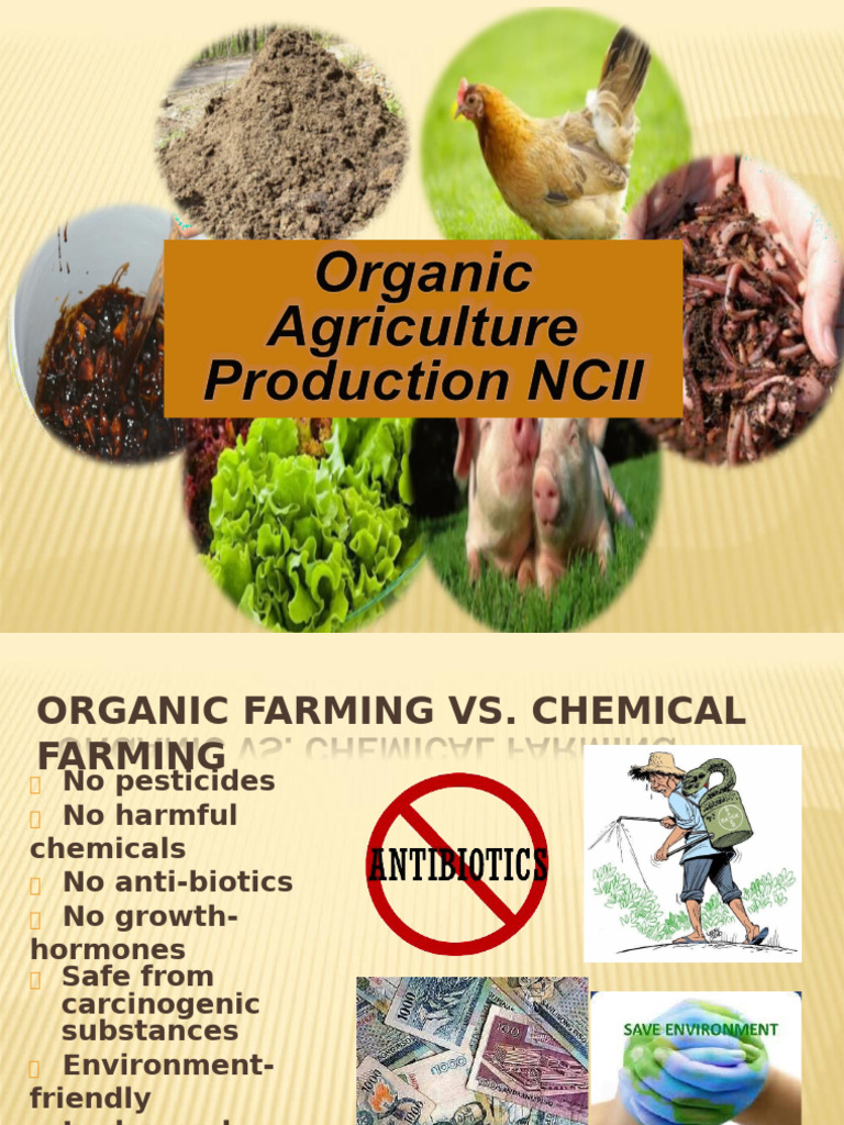 Organic Concoctions and Extracts Guide | PDF | Fermentation | Juice