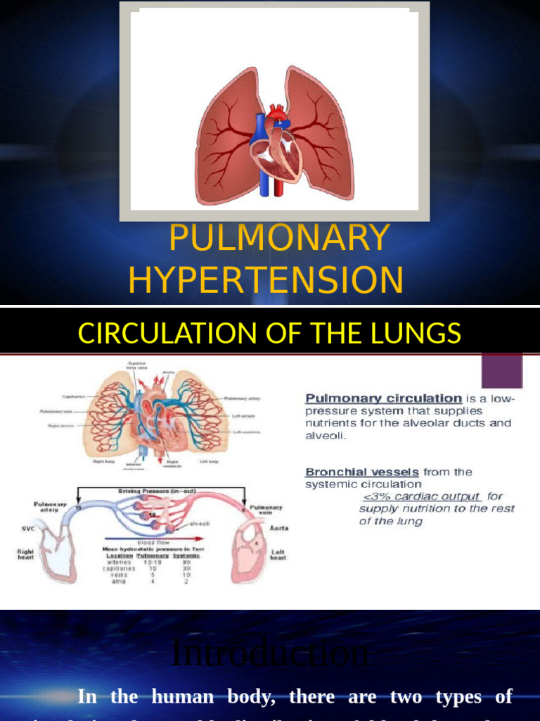 Pulmonary Hypertension | PDF | Lung | Hypertension