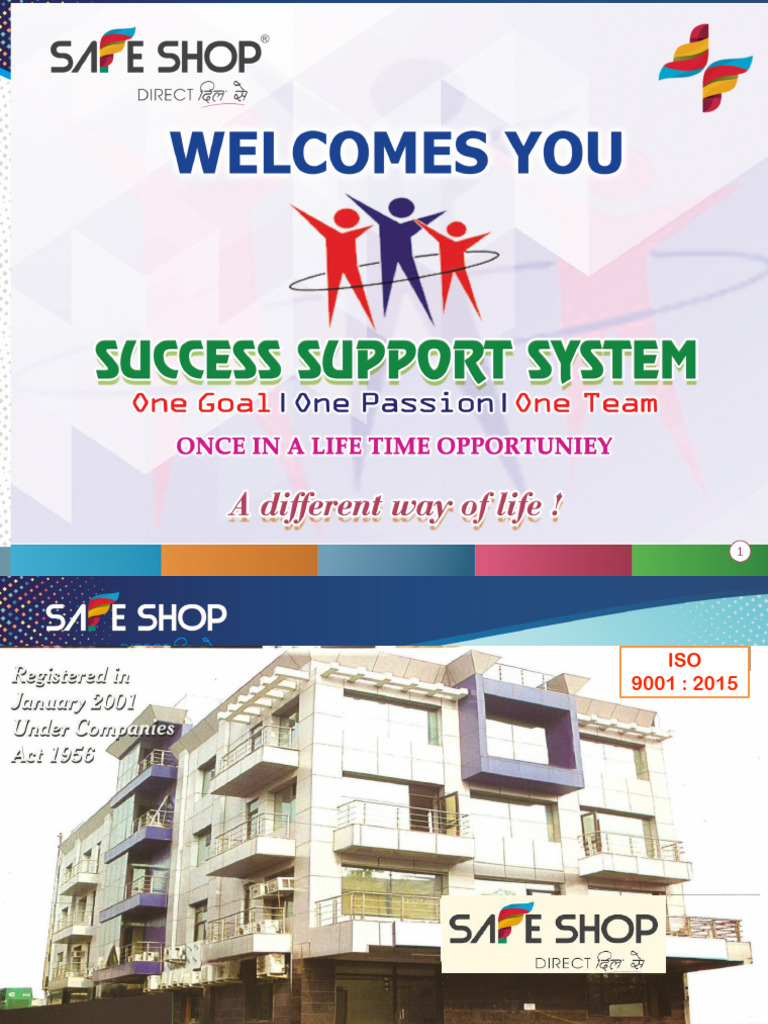 Safe Shop Company Overview and Income Plan | PDF