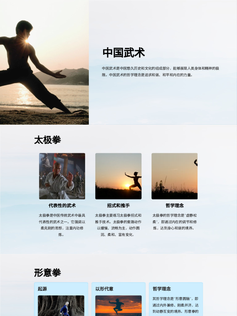 中国武术| PDF