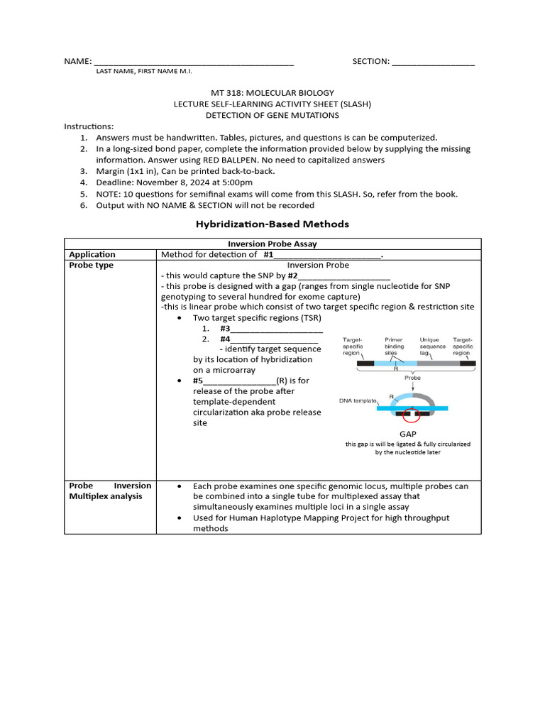 Semifinal Slash Methods For Detecting Gene Mutations | PDF | Dna ...