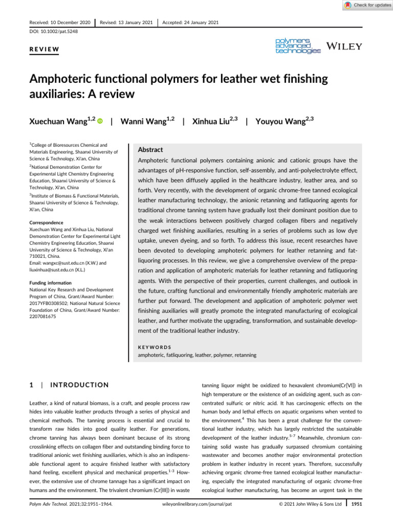 Amphoteric Polymers in Leather Finishing | PDF | Copolymer | Surfactant