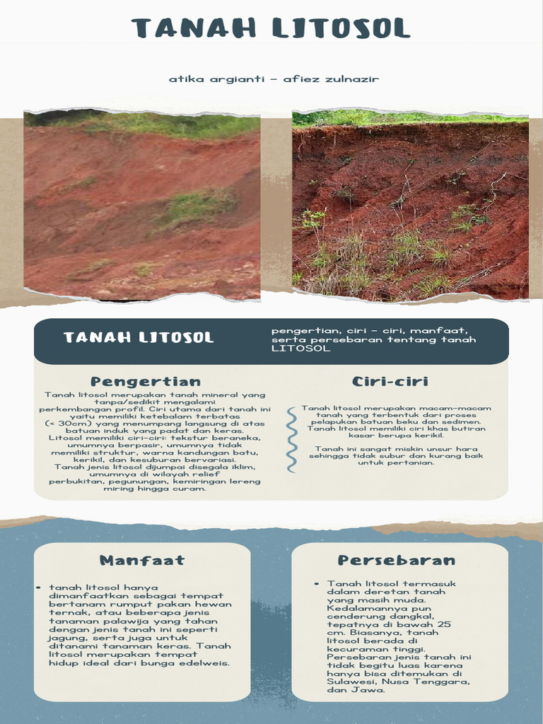 Karakteristik dan Pemanfaatan Tanah Litosol | PDF