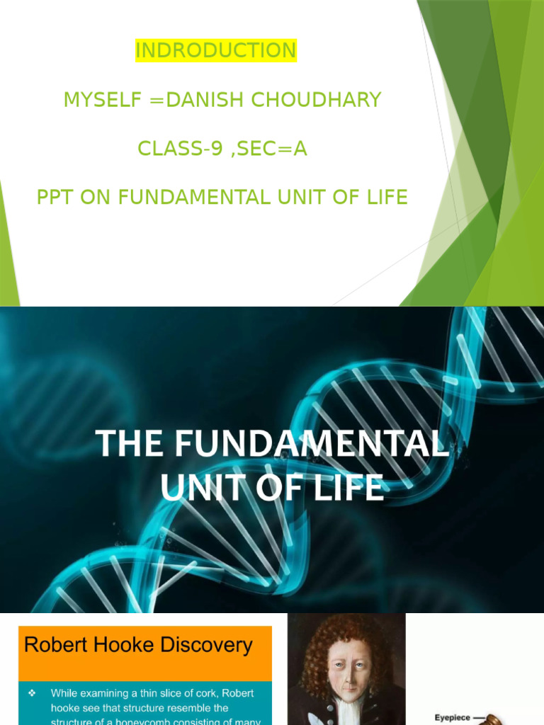 Fundamental Unit of Life PPT | PDF