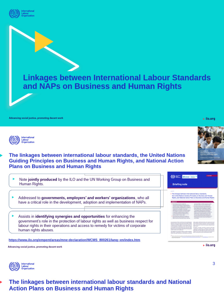 Linkages Between ILS and NAPs On BHR | PDF | International Labour ...