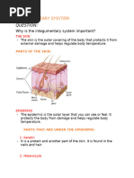 Integumentary System Combining Forms | PDF | Skin | Integumentary System