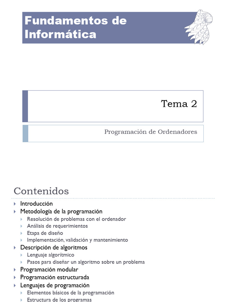 Tema 2 | PDF | Lenguaje de programación | Programación