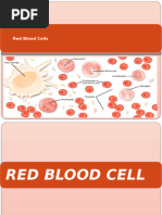 Labeled Diagram of Red Blood Cells | PDF | Red Blood Cell | Blood