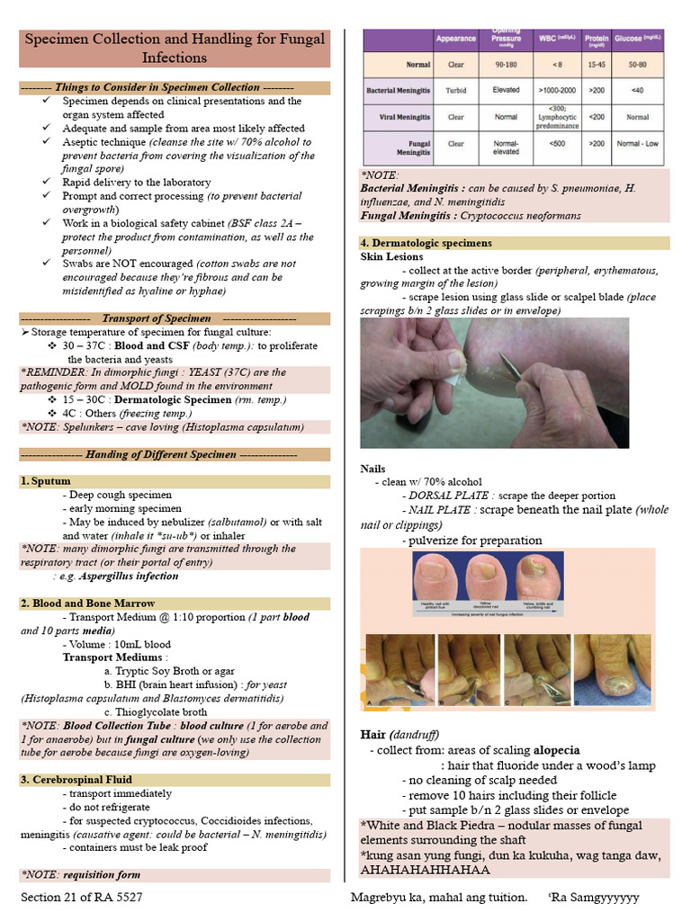 Fungal Specimen Collection Guidelines | PDF | Fungus | Meningitis