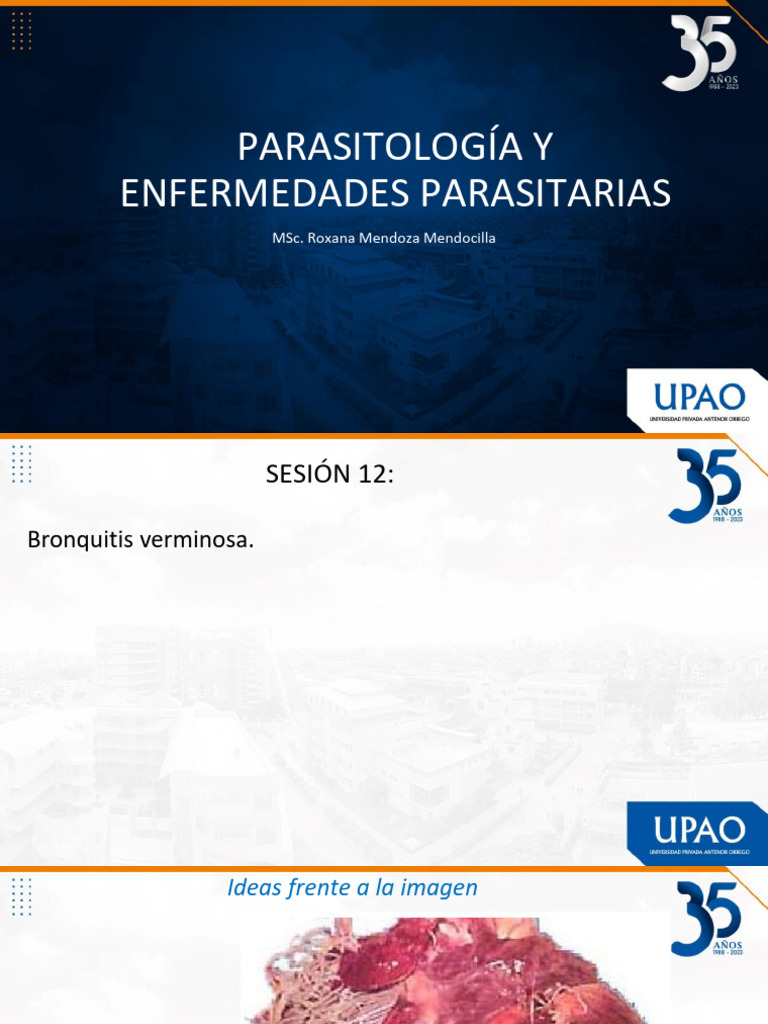 Estrongilosis renal por Stephanurus dentatus | PDF | Especialidades Medicas