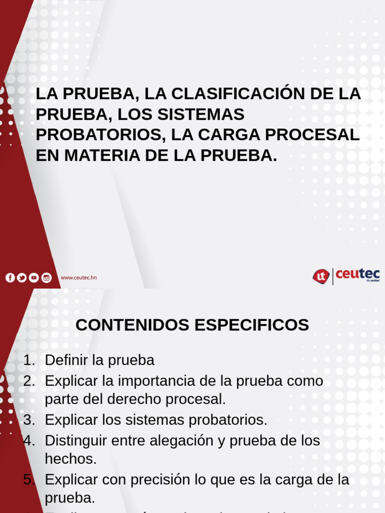 2.+Clasificaci%C3%B3n+de+Los+Medios+de+Prueba | PDF | Testigo experto ...