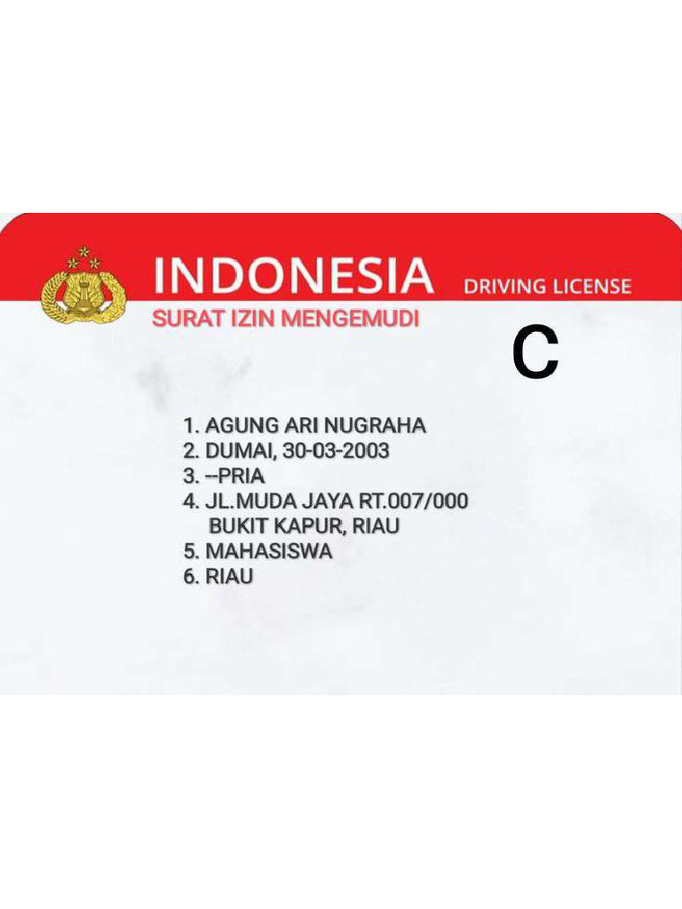 Sim | PDF