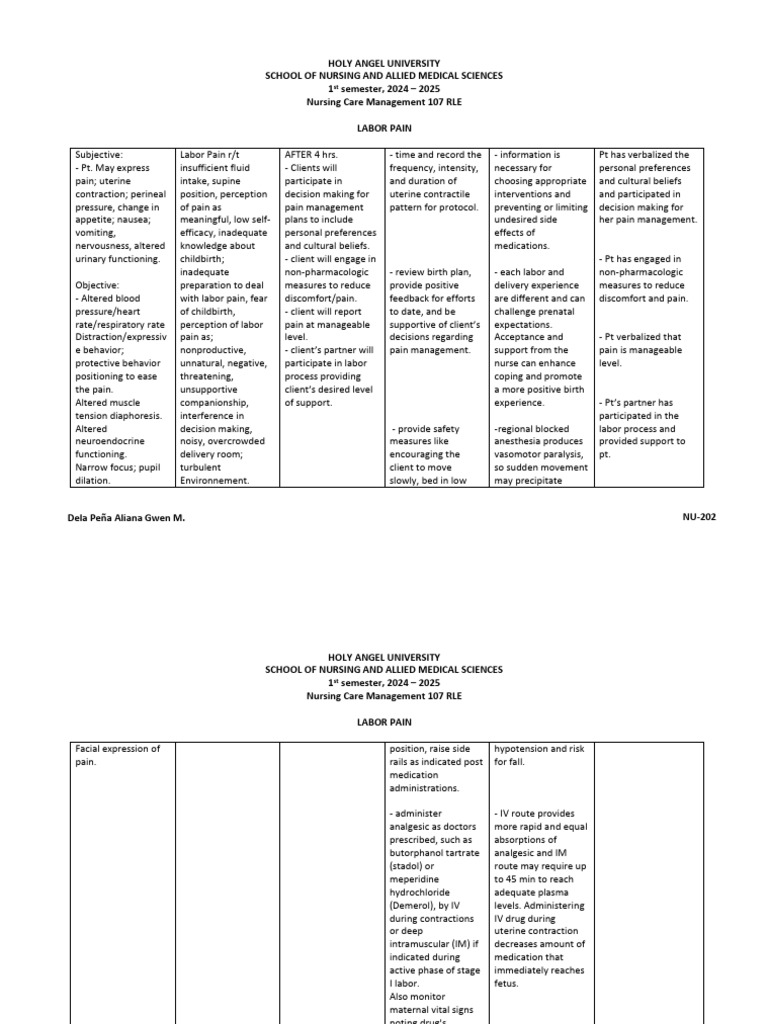 Assessment pdf childbirth anesthesia