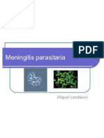 Meningitis Paras It Aria