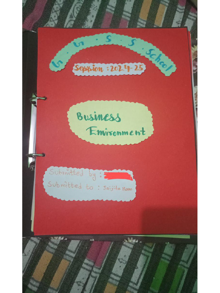 BST - Business Environment 12 | PDF