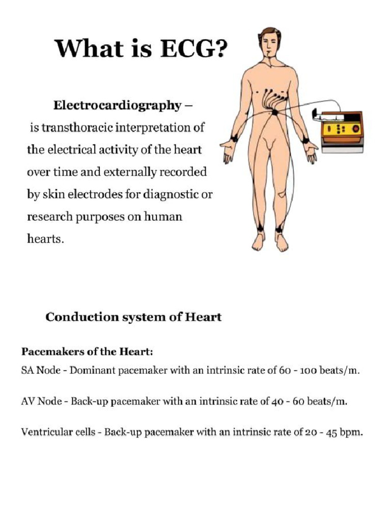 ECG | PDF