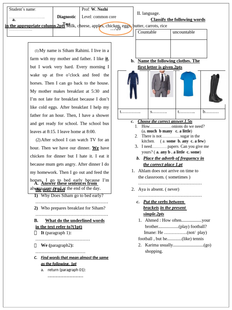 Language Skills Diagnostic Test | PDF | Linguistic Morphology | Grammar