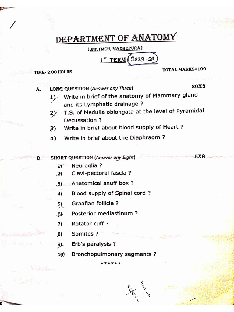 1st Year Terminal Paper, Batch 2023 | PDF