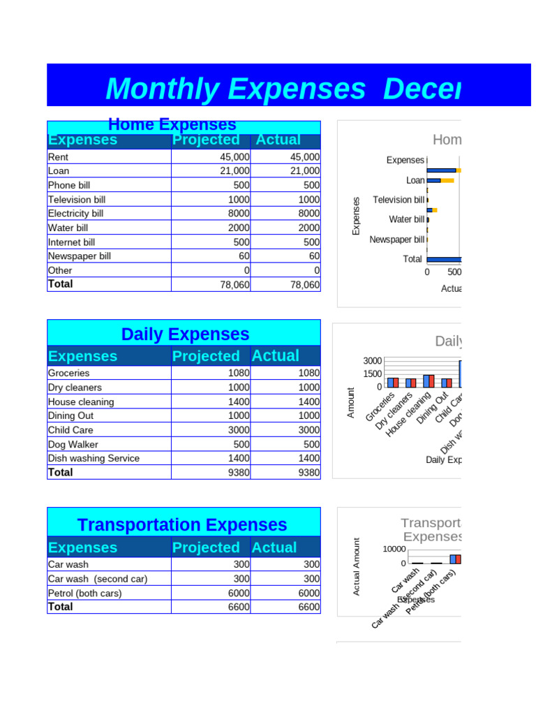 December Monthly Expense Report | PDF