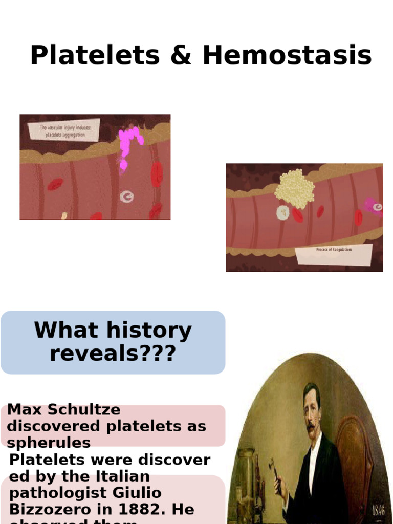Understanding Platelets and Hemostasis | PDF | Platelet | Coagulation