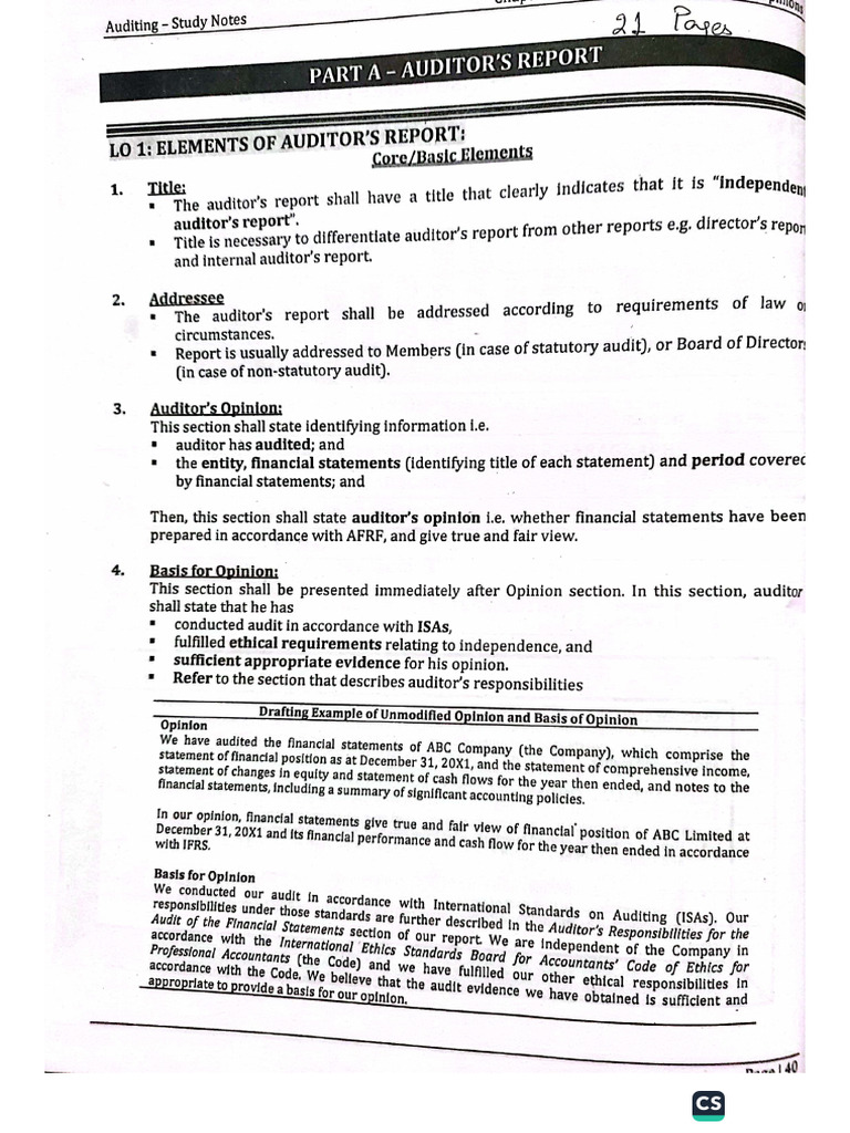 Chapter 4 Audit | PDF