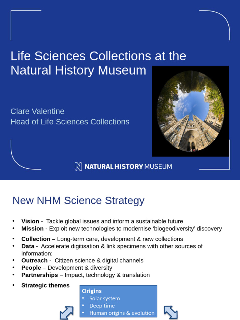 LS Collections at The NHM | PDF | Libraries | Biodiversity