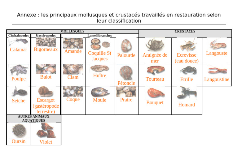 Mollusques et crustacés en restauration | PDF