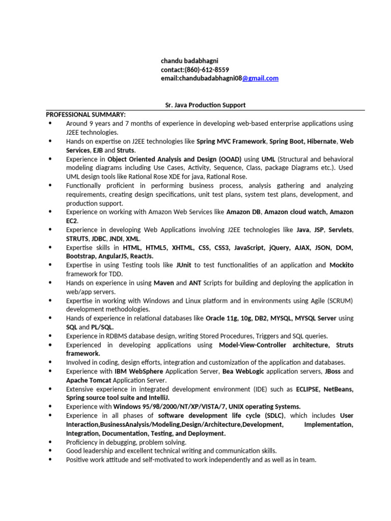 Senior Java Developer & Support Specialist | PDF | Ibm Db2 | American ...