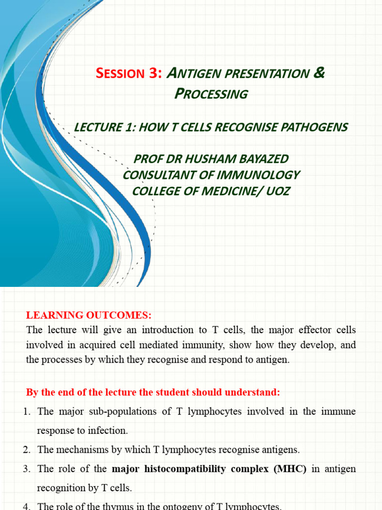 T Cell Antigen Recognition and Processing | PDF | T Cell | Antigen