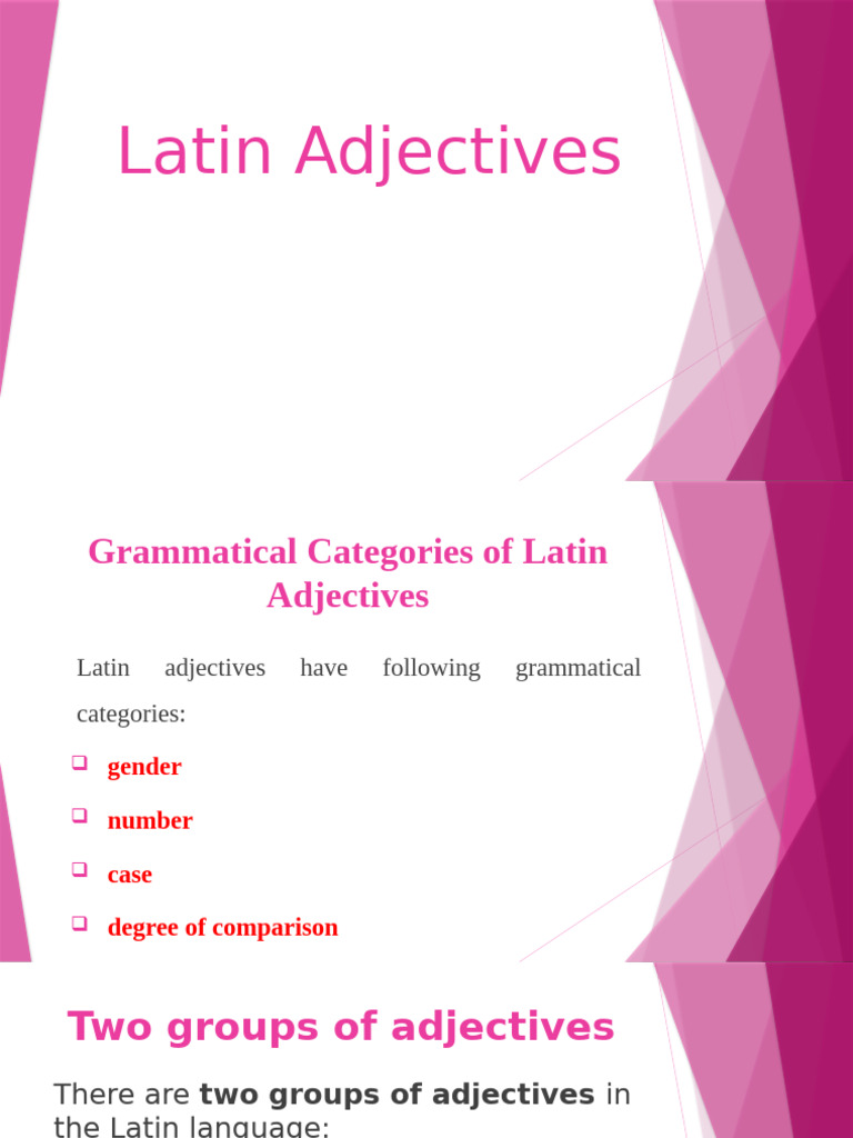 Adjective | PDF | Grammatical Gender | Grammatical Number