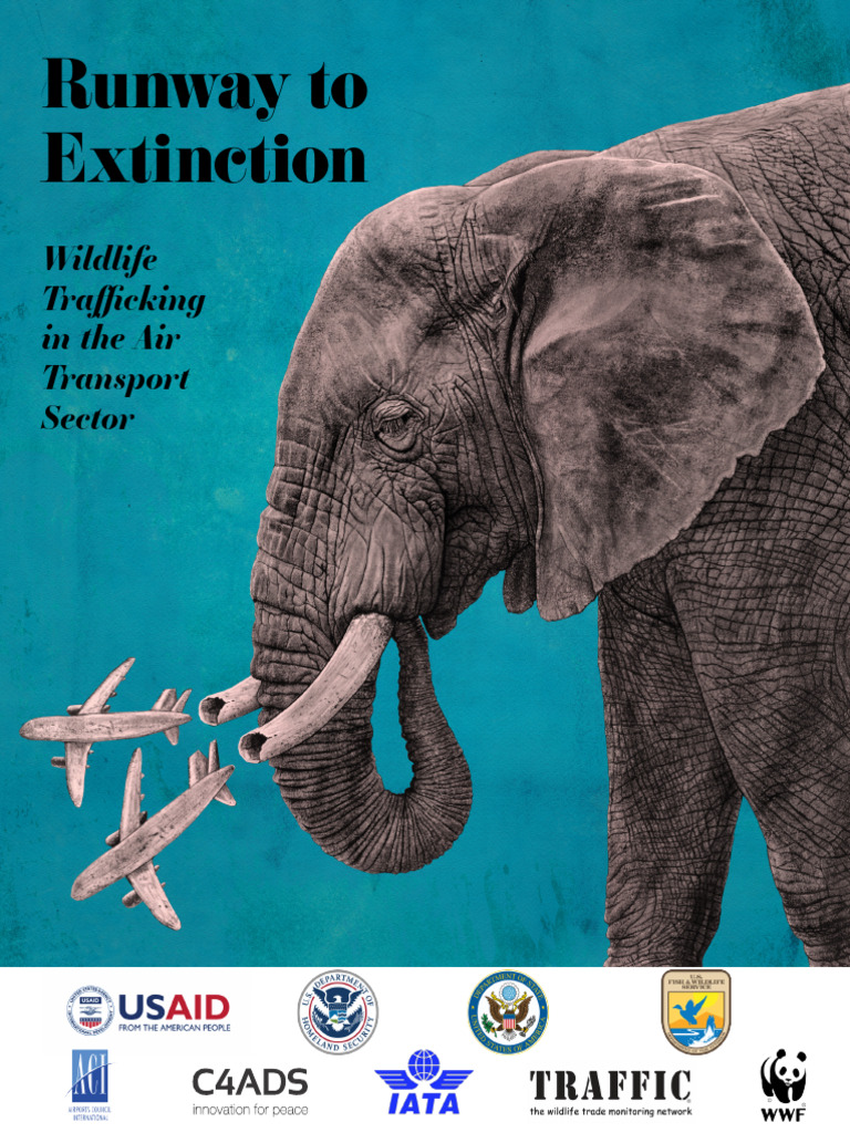 Runway To Extinction | PDF | Endangered Species