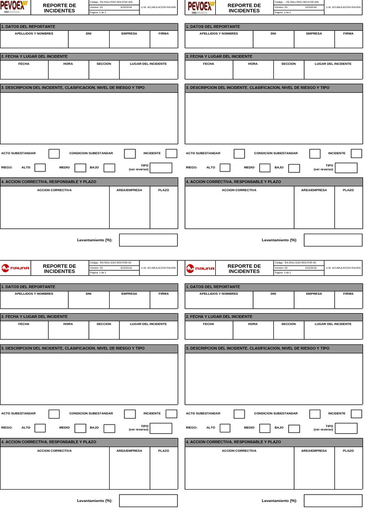 Pe Rau Pro Rdi For 005 Reporte de Incidentes | PDF | Agua
