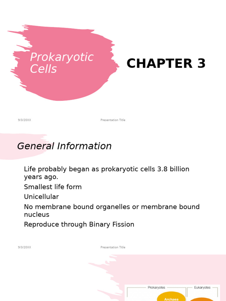 Chapter 3 - Prokaryotic Cells 2023 2 | PDF | Cell (Biology) | Bacteria