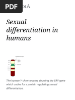 Yashirin kamera massaj lesbian porno