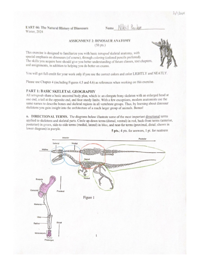 Assignment 2 | PDF