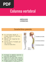 Anatomía de la Columna Lumbar y Sacro | PDF | La columna vertebral ...