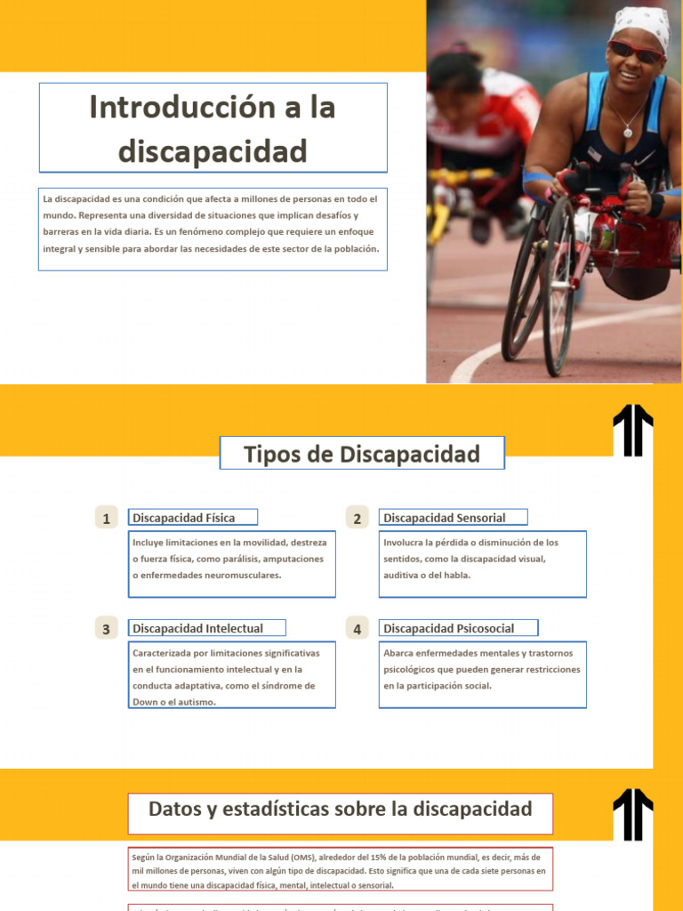 Tipos y Desafíos de la Discapacidad | PDF | Invalidez | Accesibilidad