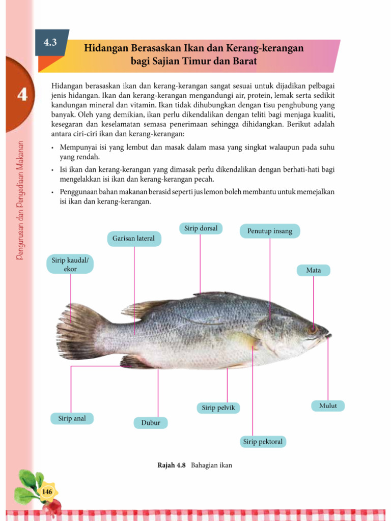 Hidangan Berasaskan Ikan Dan Kerang Kerangan | PDF