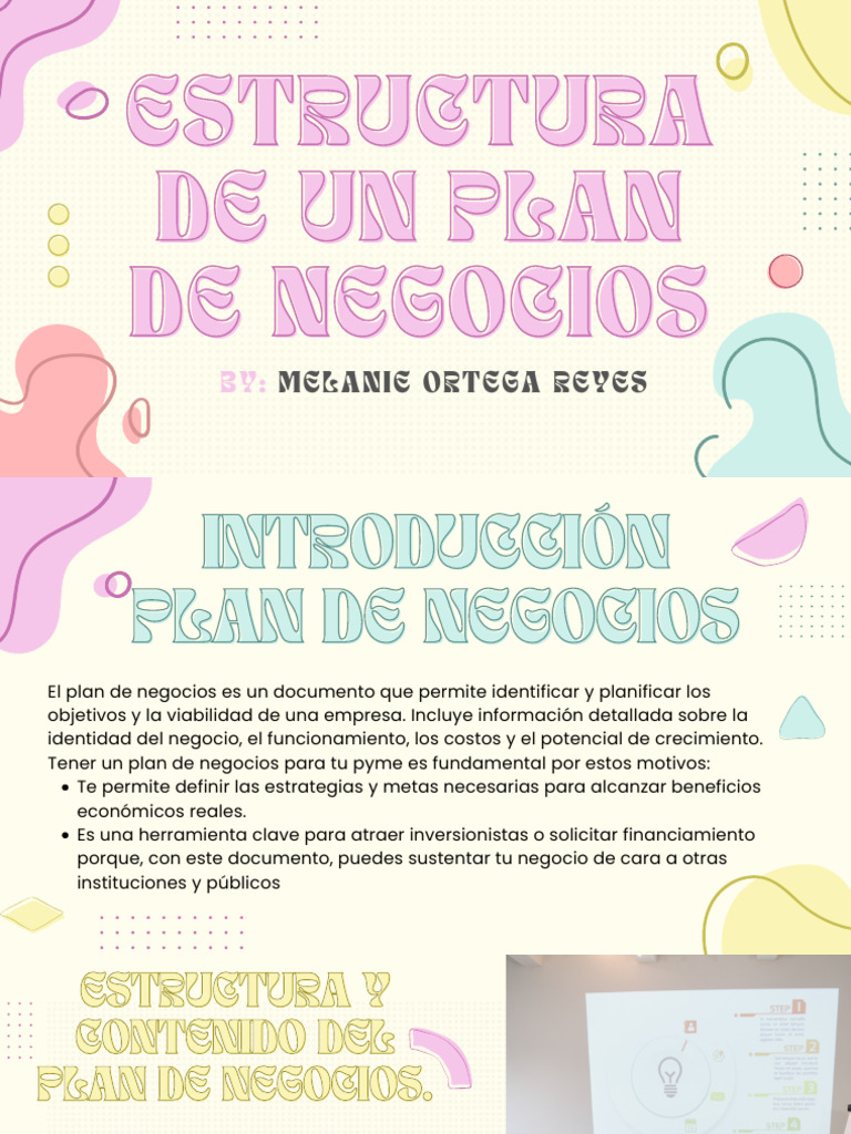 Estructura de un Plan de Negocios | PDF | Plan de negocios | Marketing