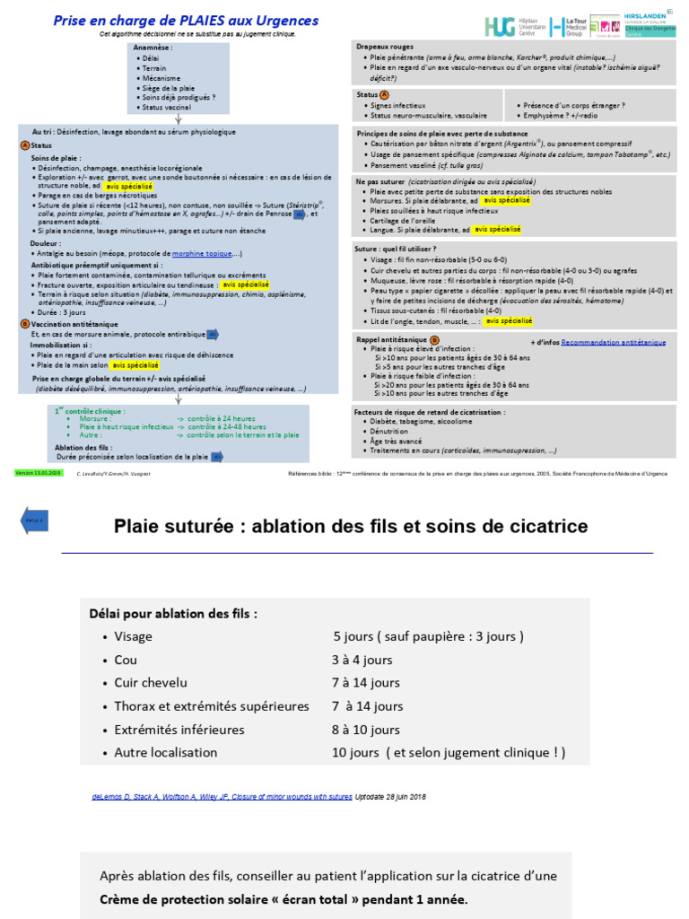 Rug Plaies Aux Urgences | PDF | Suture (médecine) | Rage (maladie)
