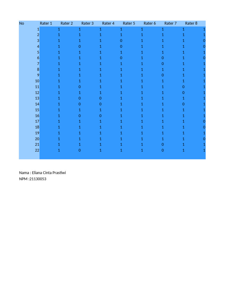 Rater Evaluation Data Summary | PDF