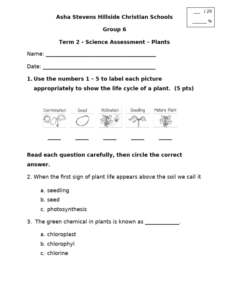Plants Test | PDF
