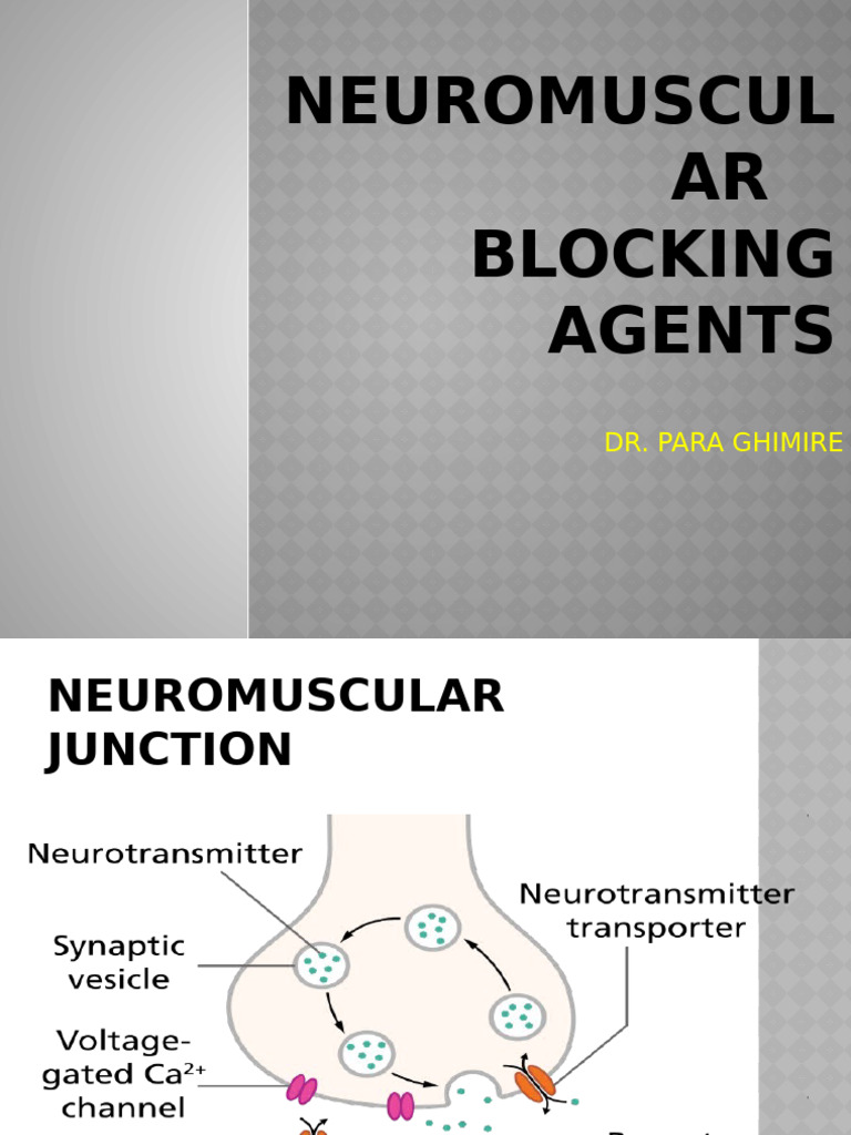 Neuromuscular Blocking Agents | PDF | Neuromuscular Junction ...