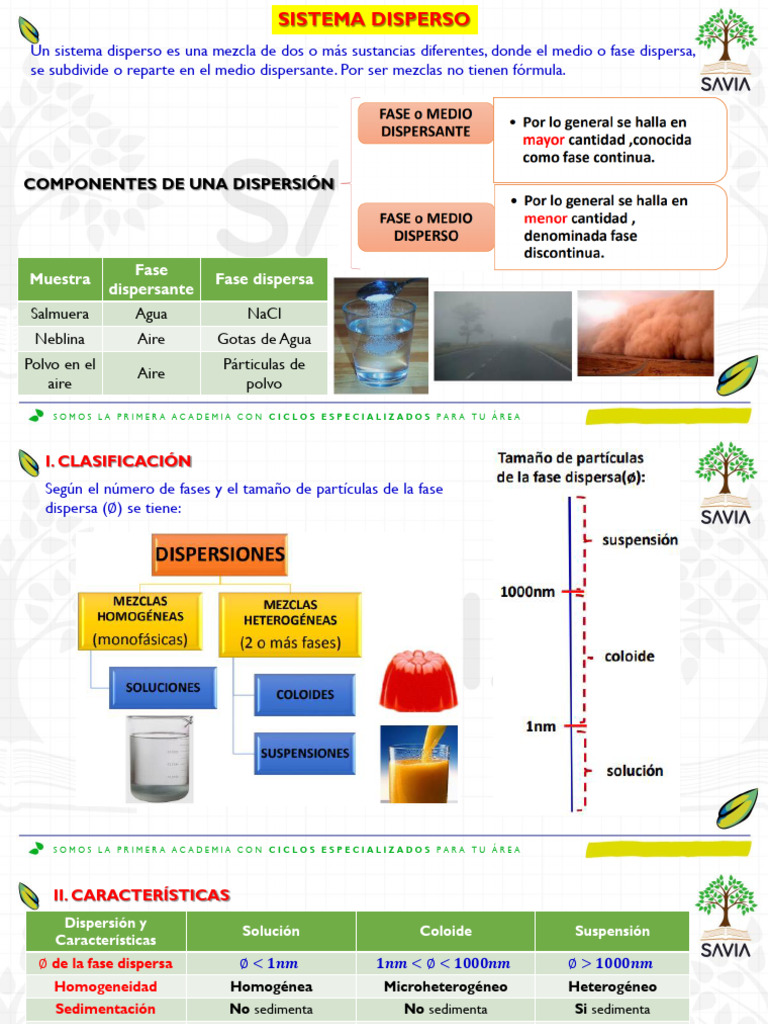 Quimica - Sistema Disperso | PDF | Mezcla | Solubilidad
