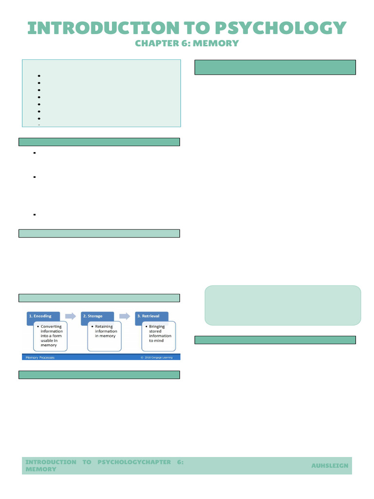 Memory Processes and Strategies | PDF | Recall (Memory) | Memory