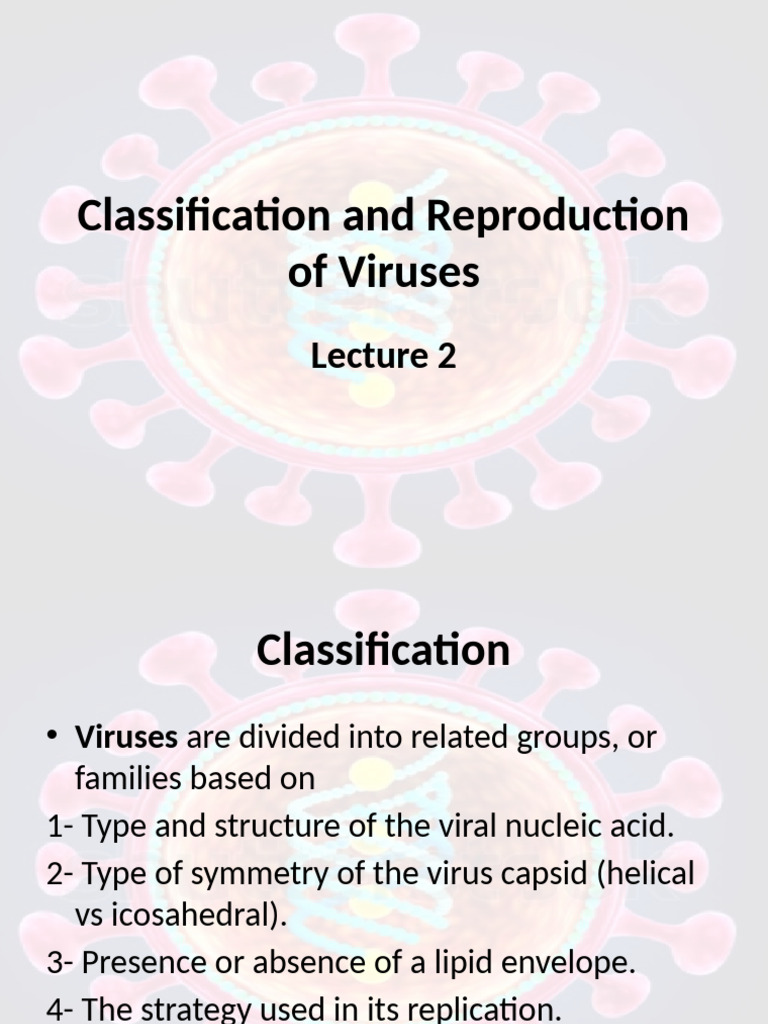 Virus Classification and Replication Overview | PDF | Virus | Rna