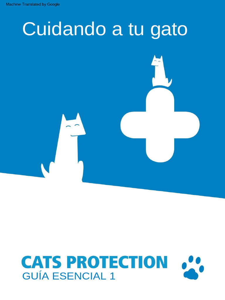 10 Caring For Your Cat Author Cats Protection UKs Largest Feline | PDF ...