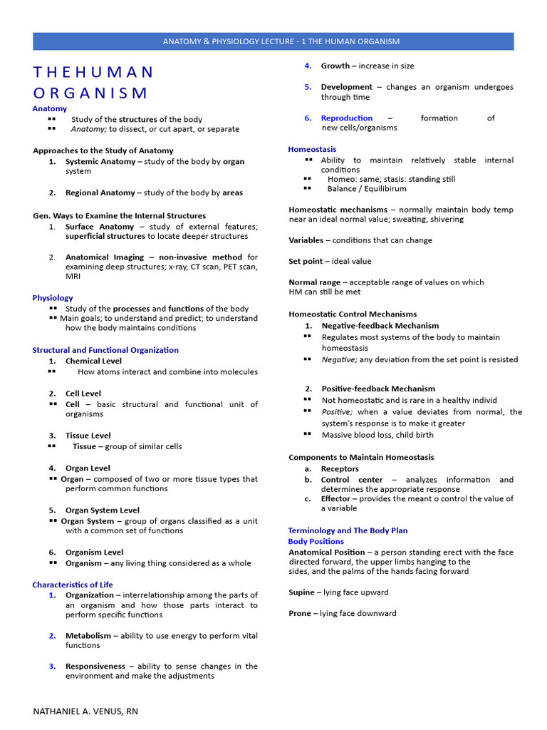 1 the Human Organism | PDF | Anatomical Terms Of Location | Peritoneum
