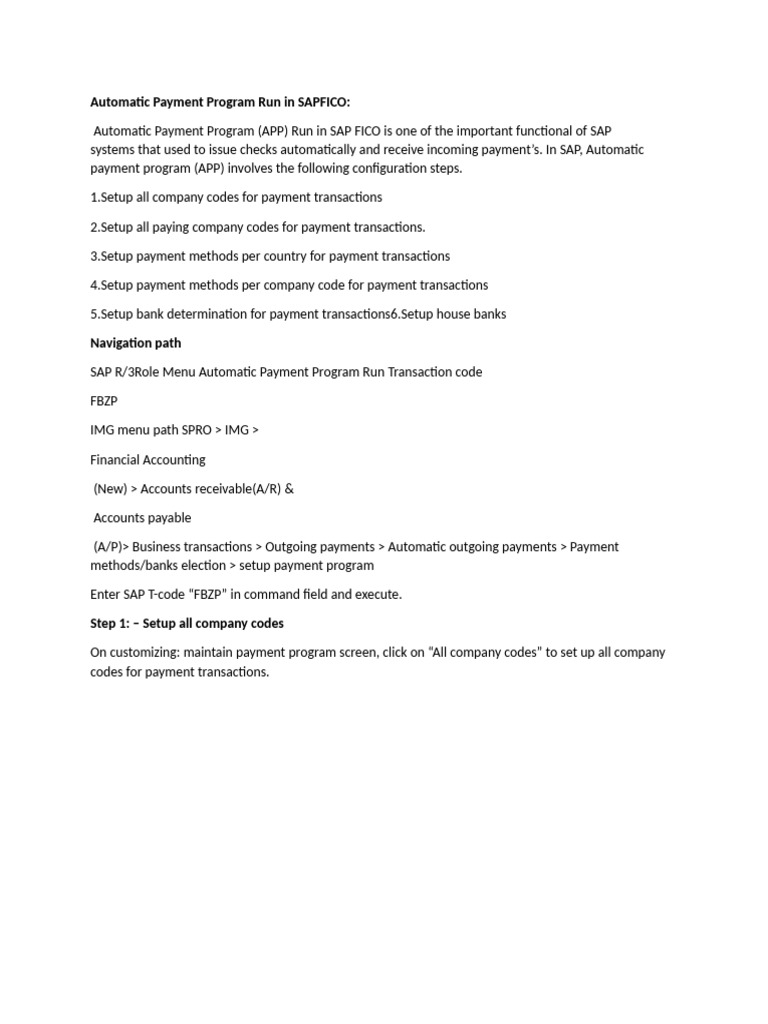 SAP FICO Automatic Payment Program Setup | PDF | Payments | Cheque